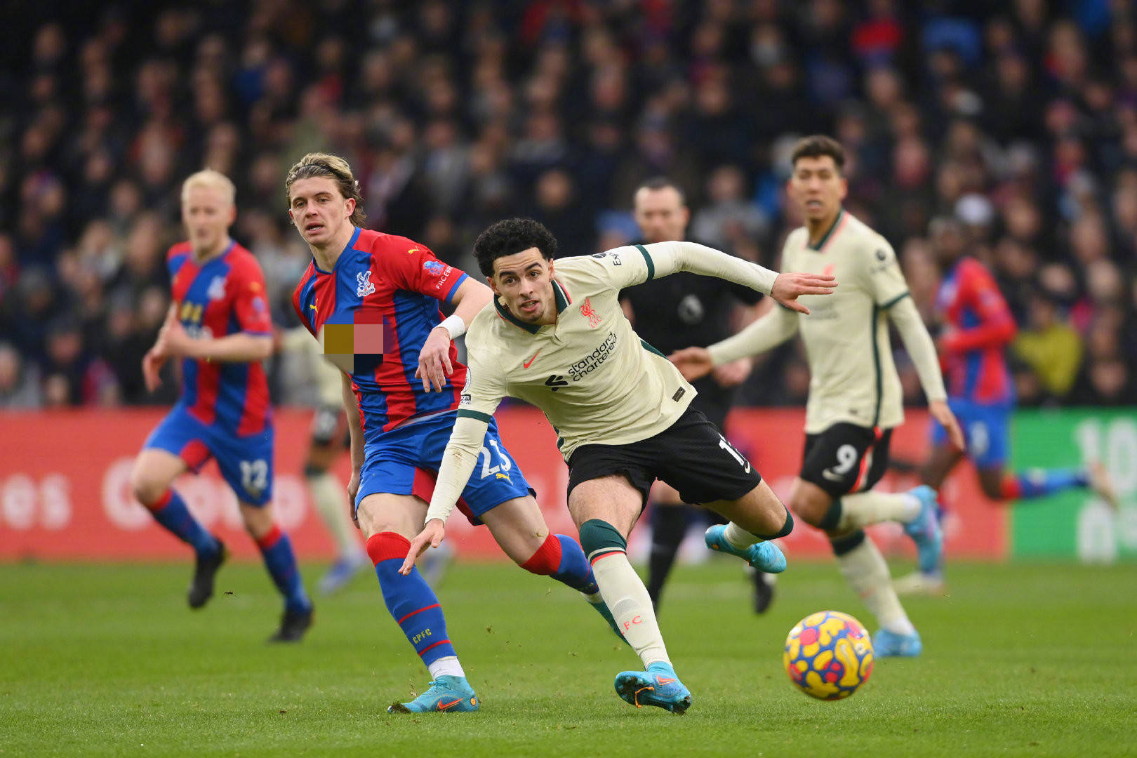 家俱乐部在 家俱乐部在